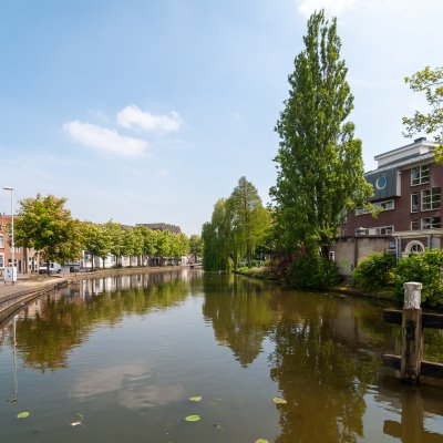 Gouda 65