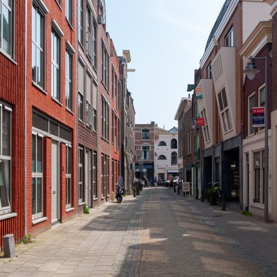 Gouda 55