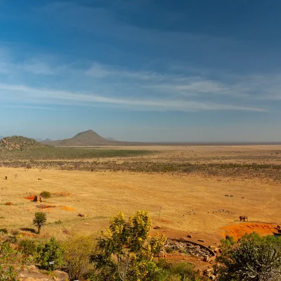 Kenya Tsavo Est 272