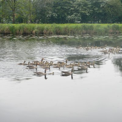 Kinderdijk 19