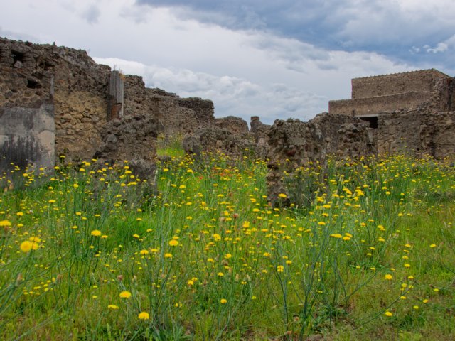 Pompei 2025