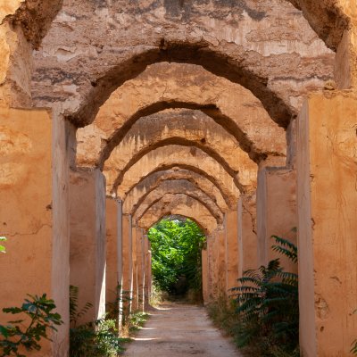 Meknes