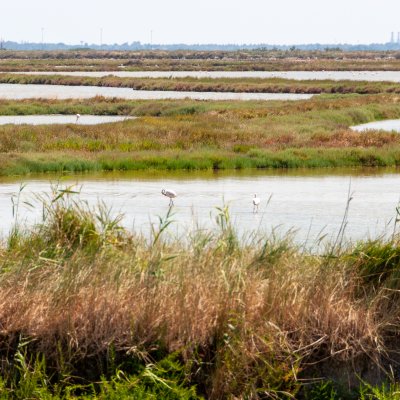 Comacchio 2026