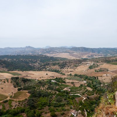 Ronda 008