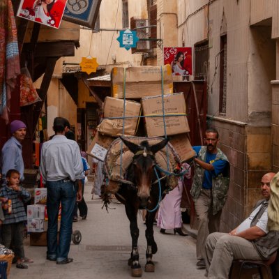 Fes