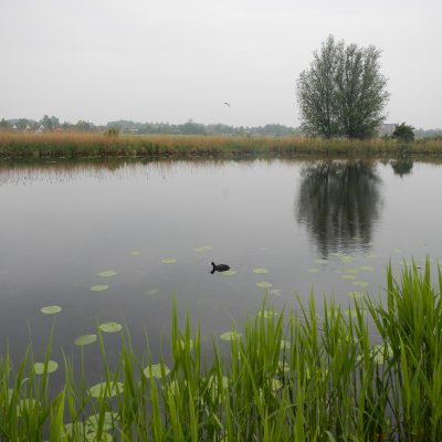Kinderdijk 11