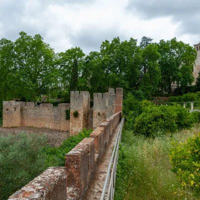 Tomar 053