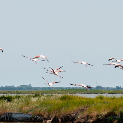 Comacchio 2026