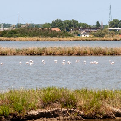 Comacchio 2026