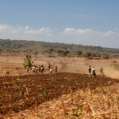 Kenya Tsavo Est 317