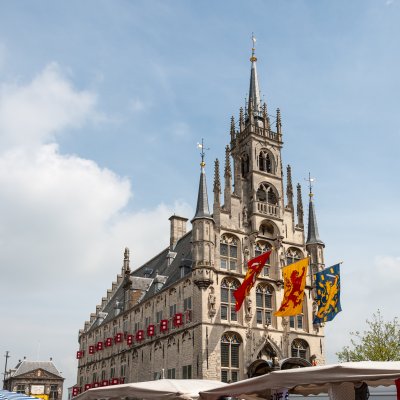 Gouda 41