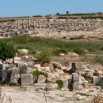 Volubilis