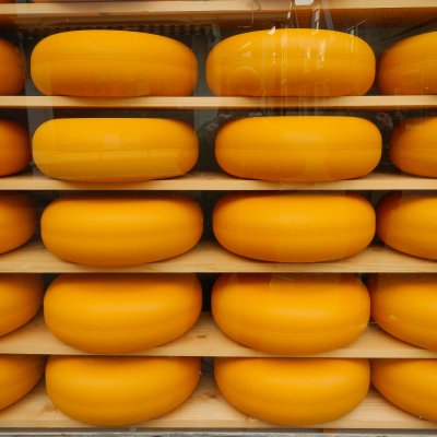 Edam 09