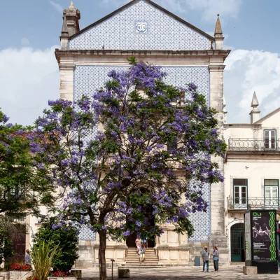 Aveiro 06