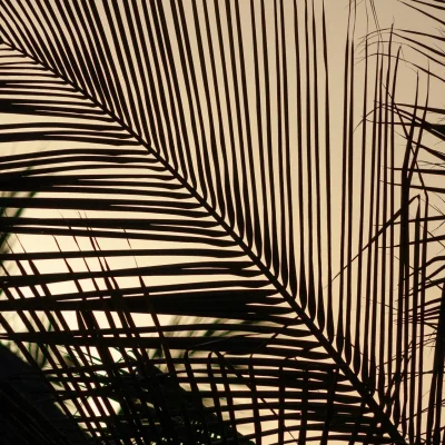 Kenya 076