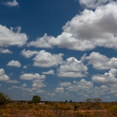 Kenya Tsavo Est 305