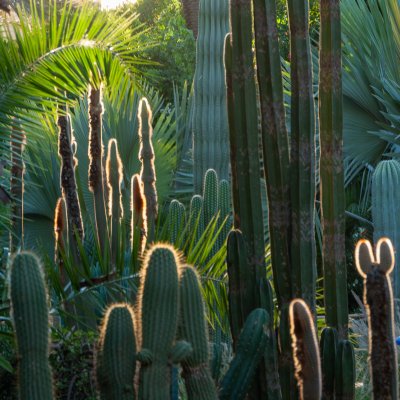Marrakech