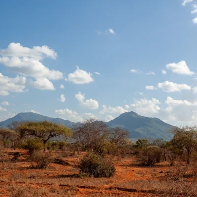 Kenya Tsavo Est 091