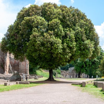 Villa Adriana 097