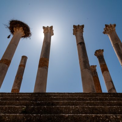 Volubilis