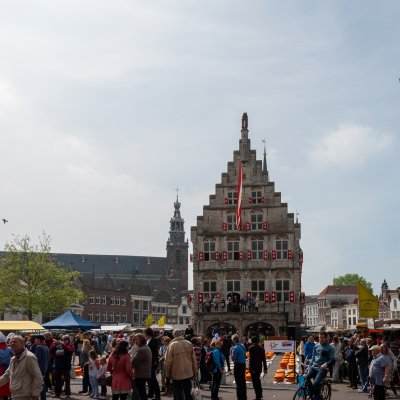 Gouda 35