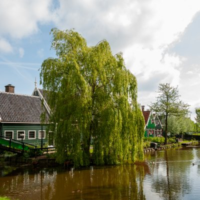 Zaandijk 17