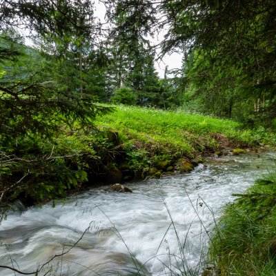 Rio di Pusteria 65