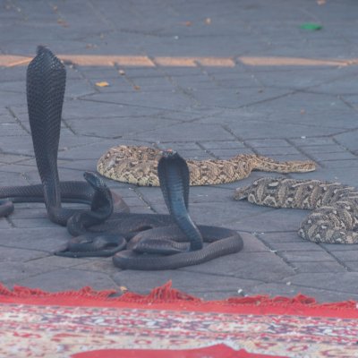 Marrakech
