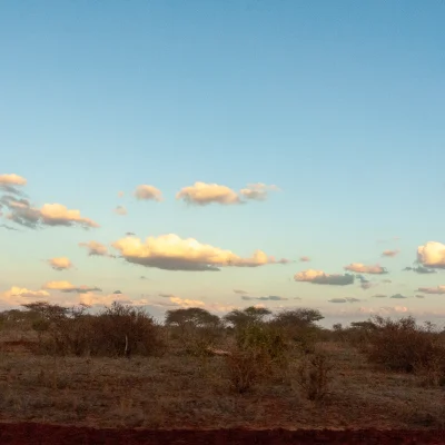 Kenya Tsavo Est 173