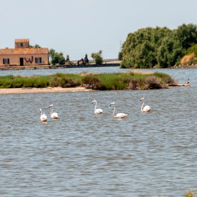 Comacchio 2026