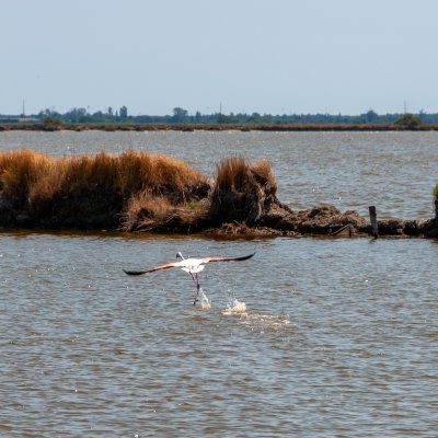 Comacchio 2026