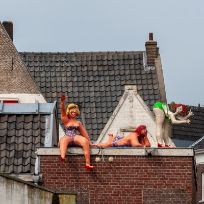 Gouda 17