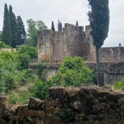 Tomar 005