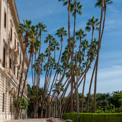 Malaga