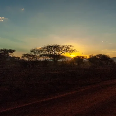 Kenya Tsavo Est 170