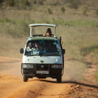 Kenya Tsavo Est 132