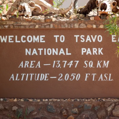 Kenya Tsavo Est 281