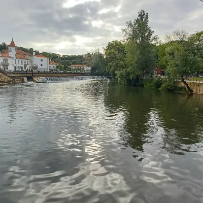 Tomar 136