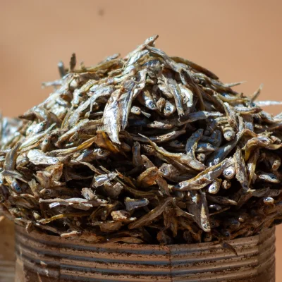 Kenya Tsavo Est 285