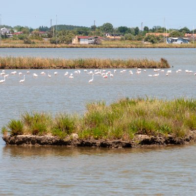 Comacchio 2026