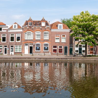 Gouda 61