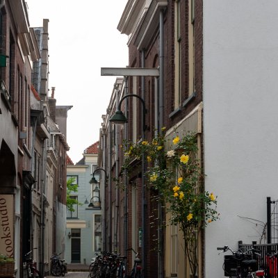 Delft 20
