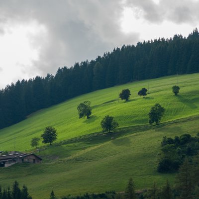 San Candido 13