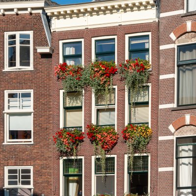 Amsterdam 2013