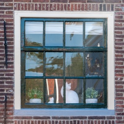 Amsterdam 2013