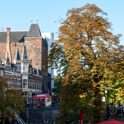 Amsterdam 2013