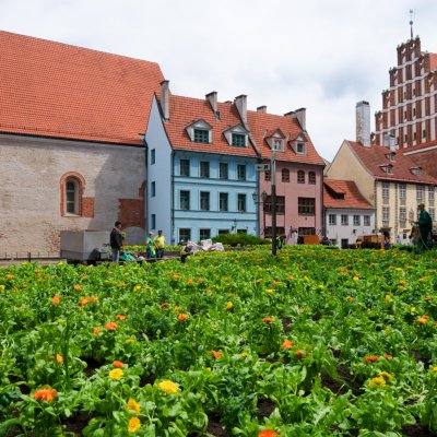 Riga