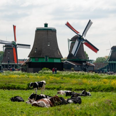Zaandijk 60