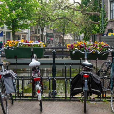 Gouda 18