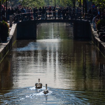 Amsterdam 2013
